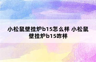 小松鼠壁挂炉b15怎么样 小松鼠壁挂炉b15咋样